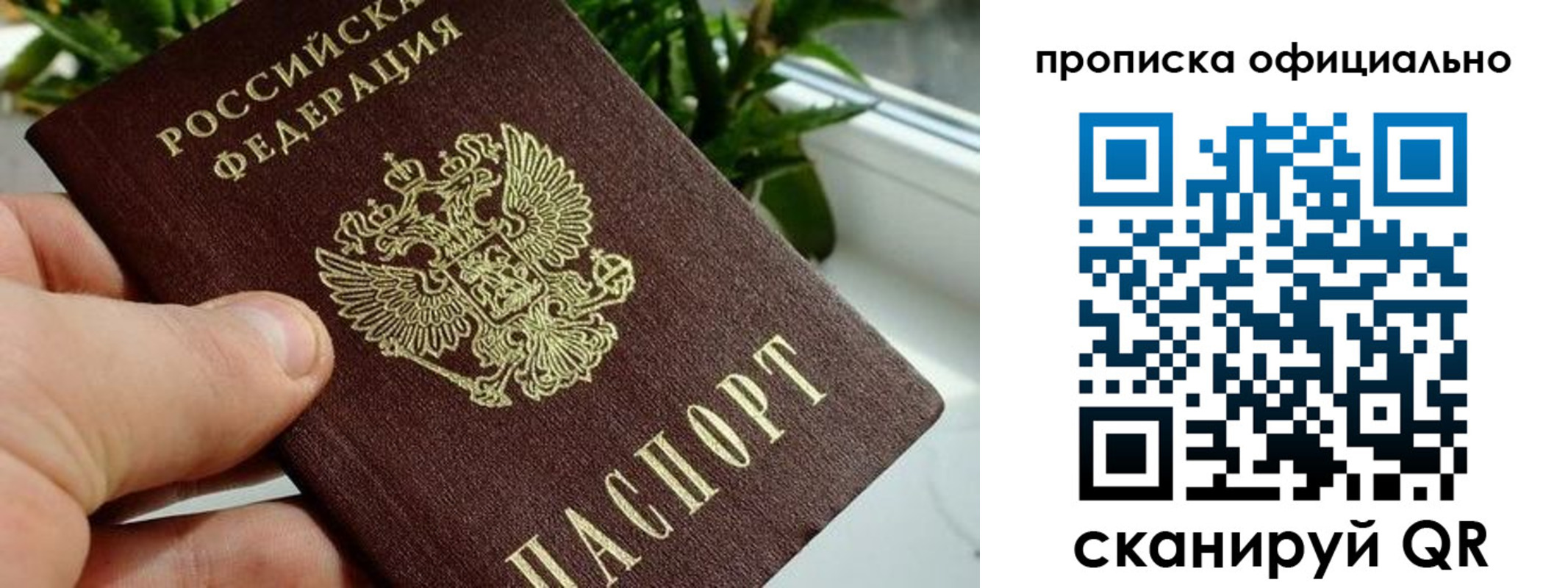 прописка поиск в Коврове